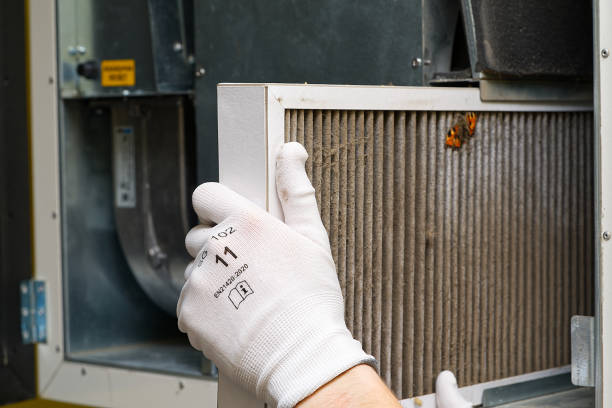 Best Affordable Air Duct Cleaning  in Sac City, IA