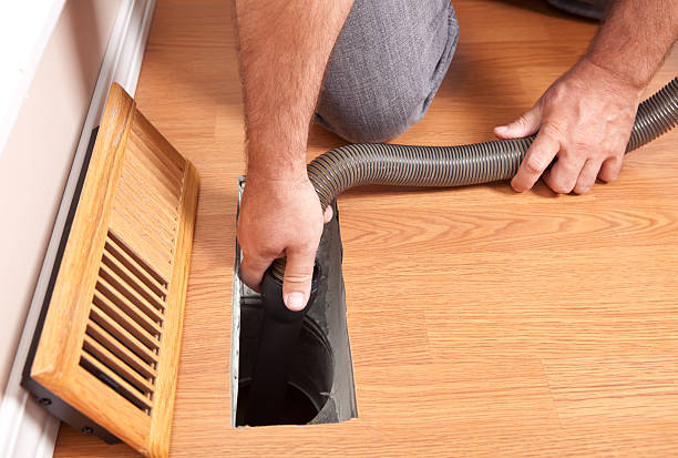 Best Air Duct Mold Removal  in Sac City, IA